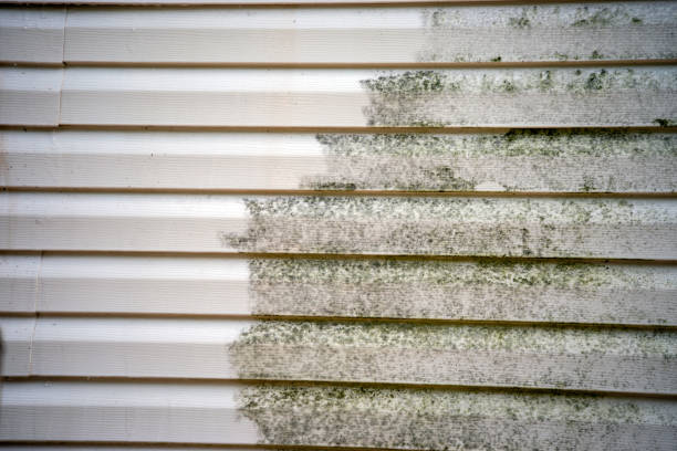 How To Choose The Right Materials for Your Siding Installation in 'Hillsboro, IL